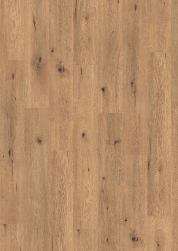 Laminate Natural Wild Oak